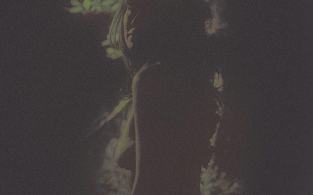 Mycelia